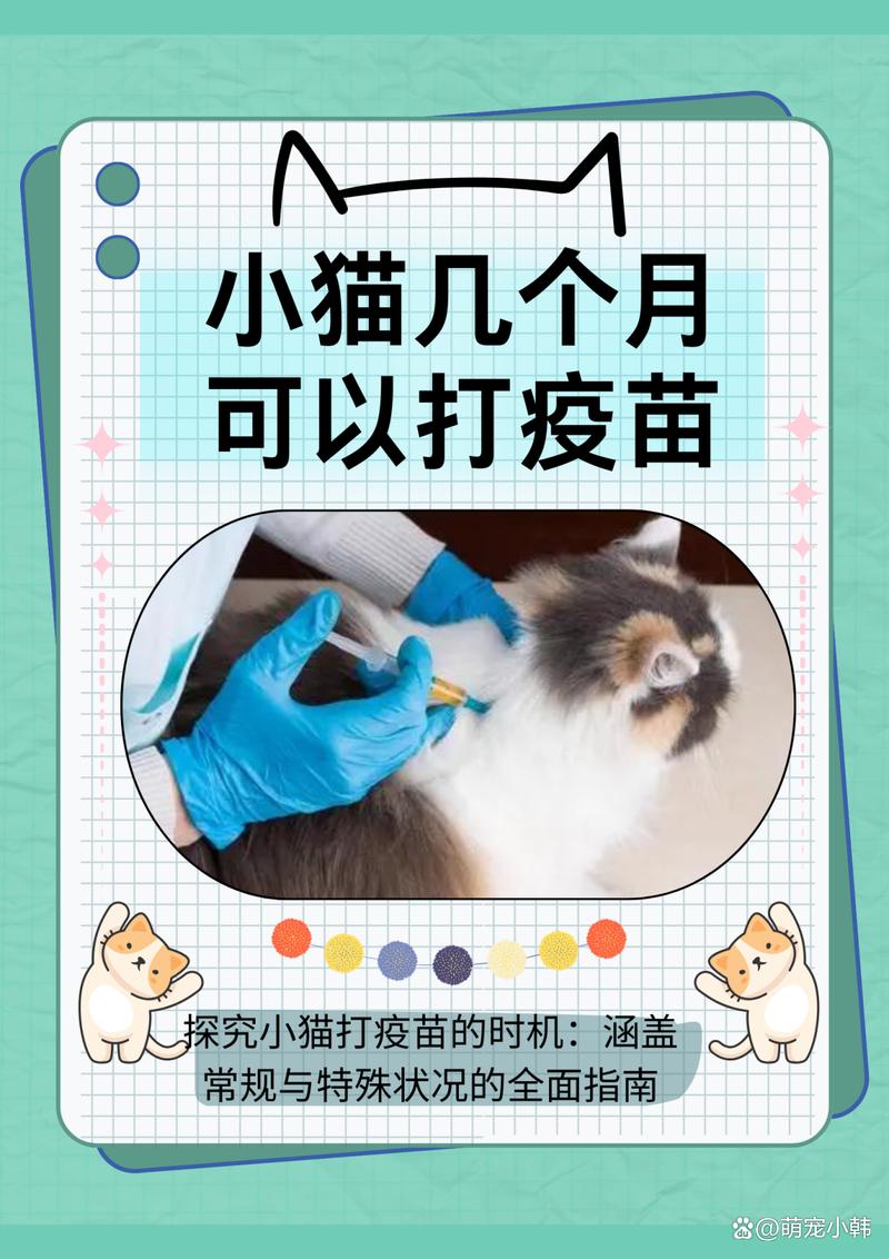 猫咪什么时候打疫苗，猫咪什么时候打预防针？-第5张图片-后鲨宠物