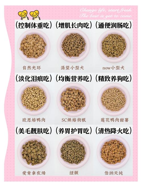  狗狗25天可以吃狗粮吗，狗狗25天可以吃狗粮吗视频