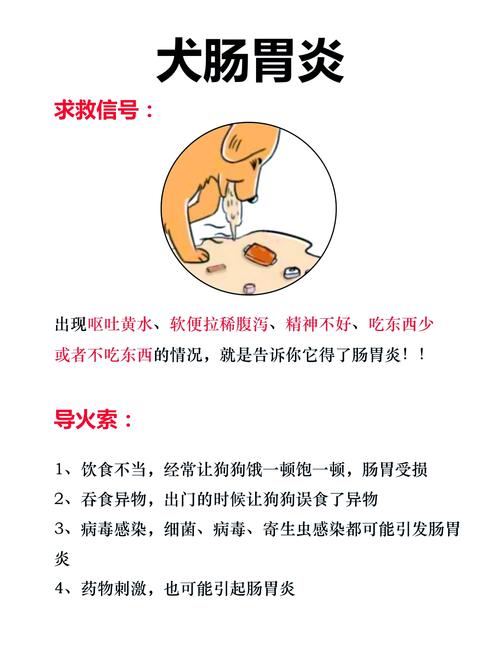 狗狗干呕怎么回事，狗狗干呕怎么回事又吐不出来但大便都正常？-第1张图片-后鲨宠物