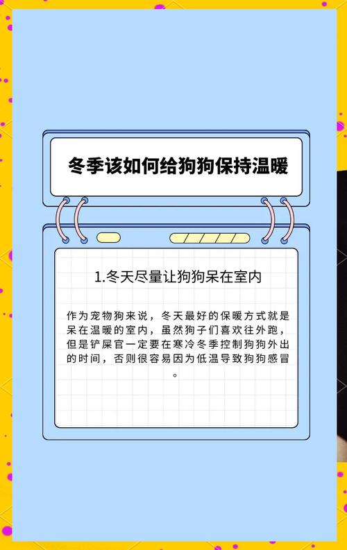 冬天狗狗怎么保暖_冬天如何给狗狗保温-第3张图片-后鲨宠物 冬天狗狗怎么保暖_冬天如何给狗狗保温-第3张图片-后鲨宠物