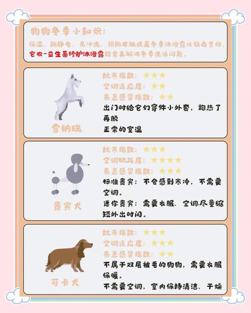 冬天狗狗怎么保暖_冬天如何给狗狗保温-第4张图片-后鲨宠物 冬天狗狗怎么保暖_冬天如何给狗狗保温-第4张图片-后鲨宠物