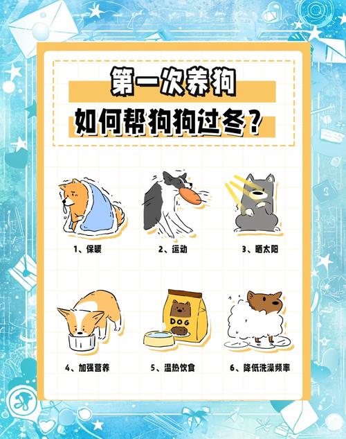 冬天狗狗怎么保暖_冬天如何给狗狗保温-第5张图片-后鲨宠物 冬天狗狗怎么保暖_冬天如何给狗狗保温-第5张图片-后鲨宠物