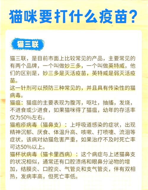 小猫咪什么时候可以打疫苗,小猫什么时间可以打疫苗-第4张图片-后鲨宠物 小猫咪什么时候可以打疫苗,小猫什么时间可以打疫苗-第4张图片-后鲨宠物