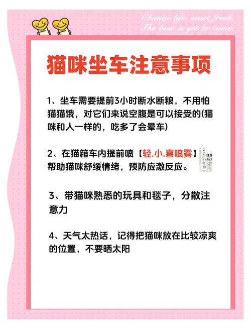 火车可以带猫咪吗,坐火车可以带猫吗-第1张图片-后鲨宠物 火车可以带猫咪吗,坐火车可以带猫吗-第1张图片-后鲨宠物