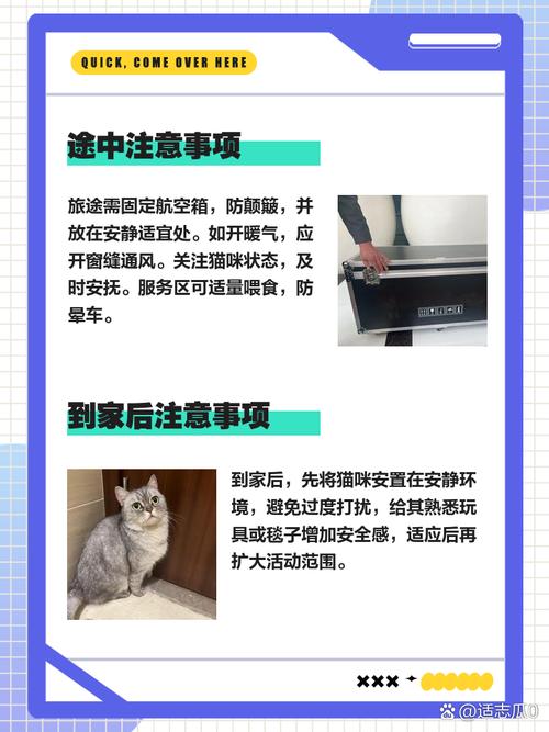 火车可以带猫咪吗,坐火车可以带猫吗-第3张图片-后鲨宠物 火车可以带猫咪吗,坐火车可以带猫吗-第3张图片-后鲨宠物