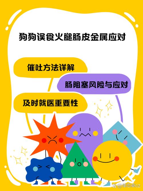 狗狗火腿肠人可以吃吗_火腿肠狗狗能吃吗-第6张图片-后鲨宠物 狗狗火腿肠人可以吃吗_火腿肠狗狗能吃吗-第6张图片-后鲨宠物