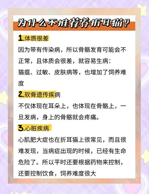  猫咪折耳是一种缺陷嘛，猫咪折耳一定会发病吗-第5张图片-后鲨宠物