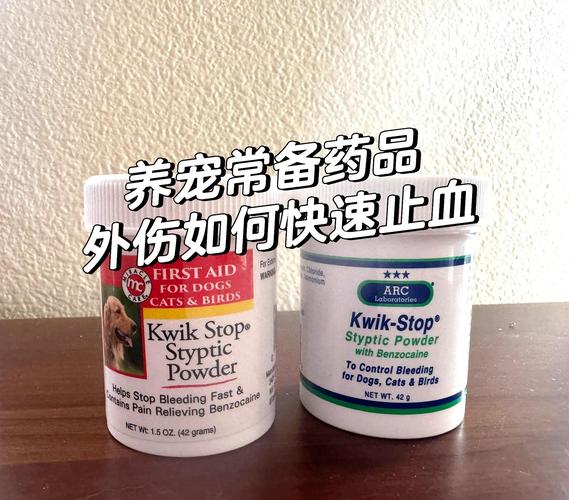  狗狗皮肤烂了擦什么药，狗狗皮肤病烂了破了-第4张图片-后鲨宠物