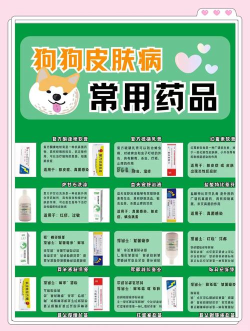  狗狗皮肤烂了擦什么药，狗狗皮肤病烂了破了-第5张图片-后鲨宠物
