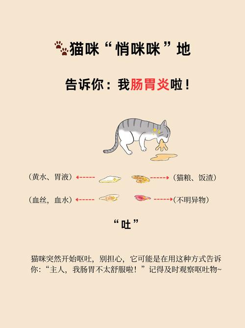 猫咪急性肠胃炎的症状_猫咪急性肠胃炎的症状和猫瘟相似吗-第1张图片-后鲨宠物 猫咪急性肠胃炎的症状_猫咪急性肠胃炎的症状和猫瘟相似吗-第1张图片-后鲨宠物