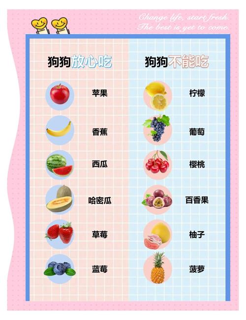 狗狗不能吃的水果,狗最爱吃的10种蔬菜?-第2张图片-后鲨宠物 狗狗不能吃的水果,狗最爱吃的10种蔬菜?-第2张图片-后鲨宠物