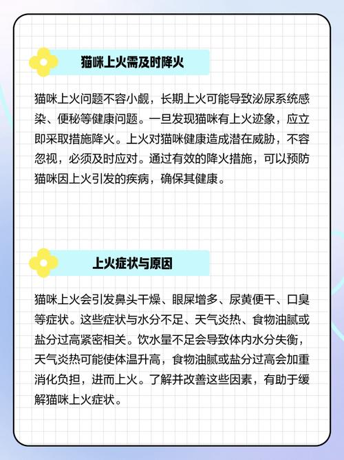 猫咪上火了如何解决_猫咪上火怎么治-第5张图片-后鲨宠物 猫咪上火了如何解决_猫咪上火怎么治-第5张图片-后鲨宠物