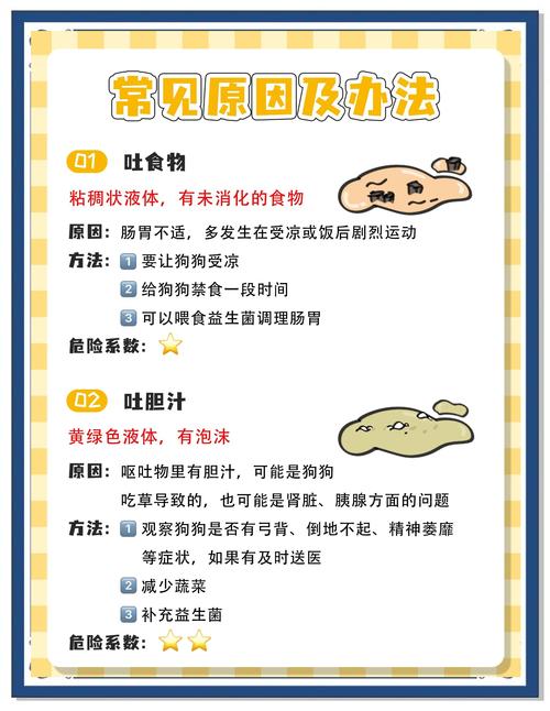 狗狗吃了防腐剂怎么办_狗狗吃了防腐剂有事吗