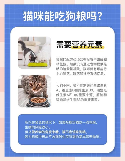猫咪可以吃狗粮吗,猫咪可以吃狗粮吗,吃一天-第3张图片-后鲨宠物 猫咪可以吃狗粮吗,猫咪可以吃狗粮吗,吃一天-第3张图片-后鲨宠物