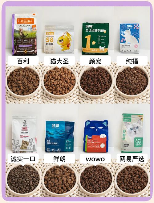 幼猫猫粮推荐_幼猫猫粮推荐13个月-第3张图片-后鲨宠物