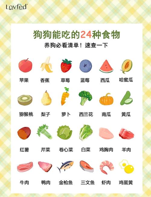 狗狗可以吃的蔬菜_狗狗可以吃的蔬菜一览表