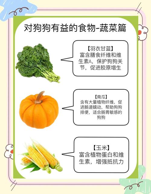 狗狗可以吃的蔬菜_狗狗可以吃的蔬菜一览表-第2张图片-后鲨宠物