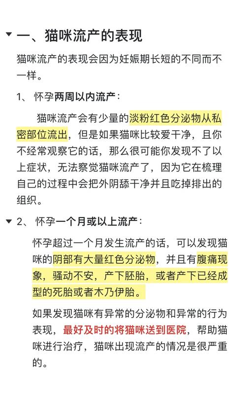猫咪流产要怎么处理,猫咪流产怎么处理帮他?-第3张图片-后鲨宠物 猫咪流产要怎么处理,猫咪流产怎么处理帮他?-第3张图片-后鲨宠物