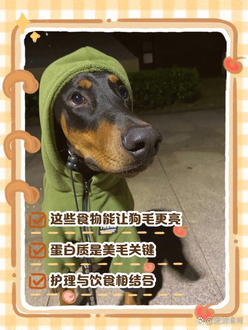 狗狗吃啥毛色漂亮,狗狗吃什么毛发亮,毛色好-第2张图片-后鲨宠物 狗狗吃啥毛色漂亮,狗狗吃什么毛发亮,毛色好-第2张图片-后鲨宠物