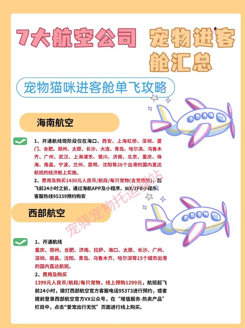 托运猫咪要多少钱,托运猫咪要多少钱飞机-第3张图片-后鲨宠物 托运猫咪要多少钱,托运猫咪要多少钱飞机-第3张图片-后鲨宠物