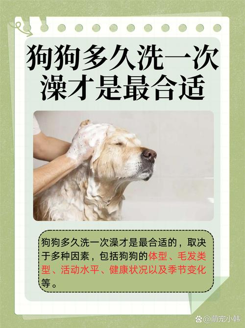 狗狗多长时间洗澡_金毛多长时间洗一次澡-第1张图片-后鲨宠物 狗狗多长时间洗澡_金毛多长时间洗一次澡-第1张图片-后鲨宠物