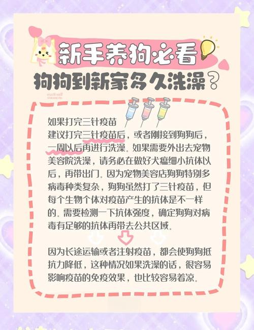 狗狗多长时间洗澡_金毛多长时间洗一次澡-第4张图片-后鲨宠物 狗狗多长时间洗澡_金毛多长时间洗一次澡-第4张图片-后鲨宠物