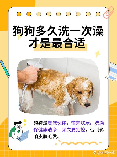 狗狗多长时间洗澡_金毛多长时间洗一次澡-第5张图片-后鲨宠物 狗狗多长时间洗澡_金毛多长时间洗一次澡-第5张图片-后鲨宠物