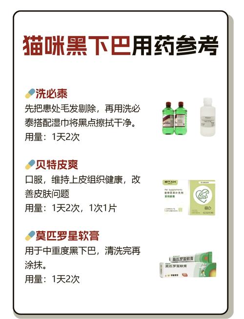 猫咪黑下巴怎么治疗,猫咪黑下巴怎么治疗几天能好?-第2张图片-后鲨宠物 猫咪黑下巴怎么治疗,猫咪黑下巴怎么治疗几天能好?-第2张图片-后鲨宠物