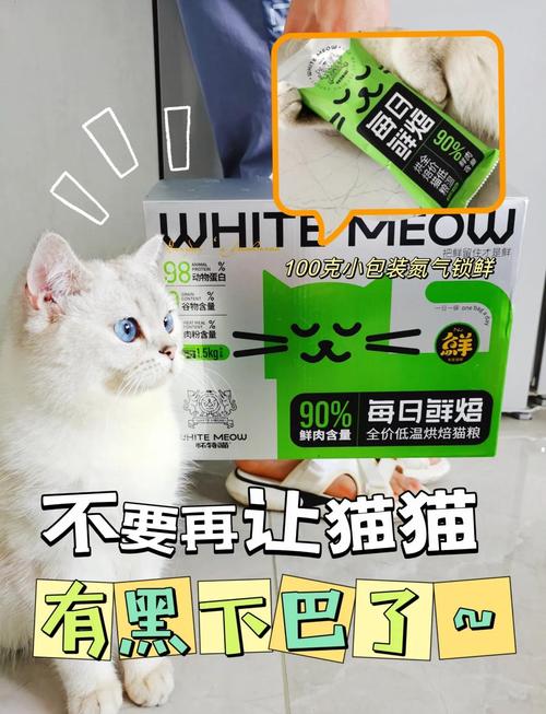 猫咪黑下巴怎么治疗,猫咪黑下巴怎么治疗几天能好?-第4张图片-后鲨宠物 猫咪黑下巴怎么治疗,猫咪黑下巴怎么治疗几天能好?-第4张图片-后鲨宠物