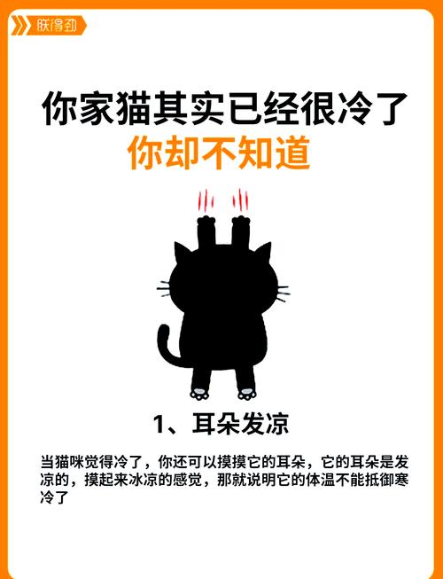 猫咪冬天不爱动,猫咪冬天不爱动吗?-第1张图片-后鲨宠物 猫咪冬天不爱动,猫咪冬天不爱动吗?-第1张图片-后鲨宠物