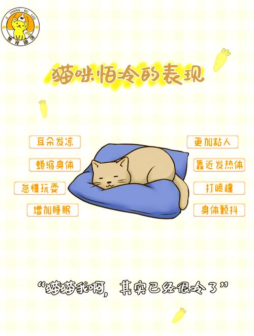 猫咪冬天不爱动,猫咪冬天不爱动吗?-第4张图片-后鲨宠物 猫咪冬天不爱动,猫咪冬天不爱动吗?-第4张图片-后鲨宠物