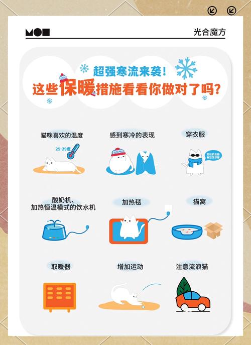 猫咪冬天不爱动,猫咪冬天不爱动吗?-第5张图片-后鲨宠物 猫咪冬天不爱动,猫咪冬天不爱动吗?-第5张图片-后鲨宠物