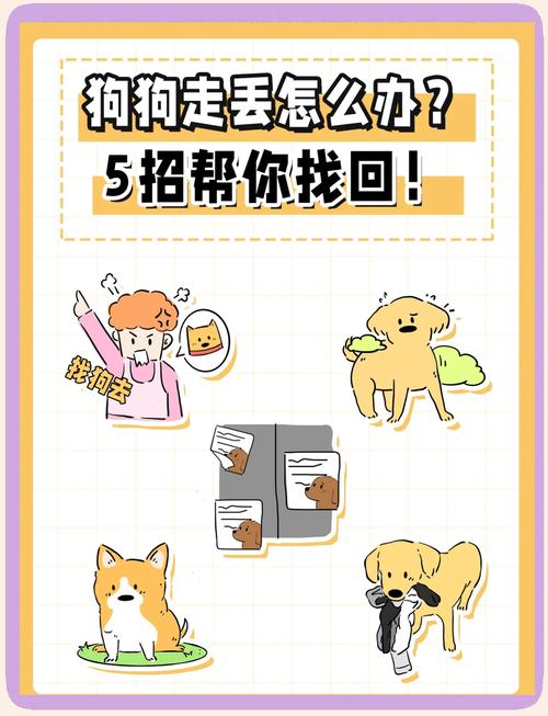 狗狗丢失如何找回,狗狗丢失了怎么找回-第2张图片-后鲨宠物 狗狗丢失如何找回,狗狗丢失了怎么找回-第2张图片-后鲨宠物