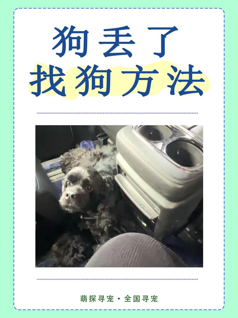 狗狗丢失如何找回,狗狗丢失了怎么找回-第5张图片-后鲨宠物 狗狗丢失如何找回,狗狗丢失了怎么找回-第5张图片-后鲨宠物