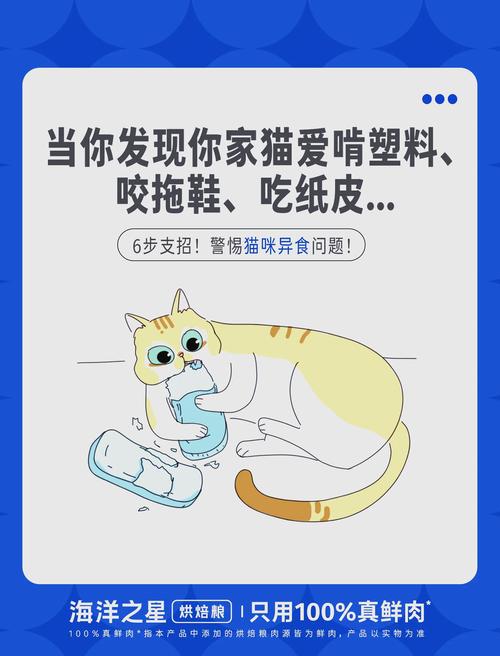 猫咪吃塑料怎么回事_猫咪吃塑料会有什么反应-第1张图片-后鲨宠物 猫咪吃塑料怎么回事_猫咪吃塑料会有什么反应-第1张图片-后鲨宠物