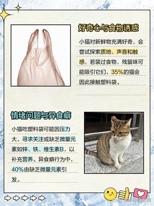 猫咪吃塑料怎么回事_猫咪吃塑料会有什么反应-第2张图片-后鲨宠物 猫咪吃塑料怎么回事_猫咪吃塑料会有什么反应-第2张图片-后鲨宠物