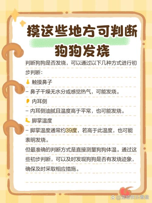 狗狗发烧症状有哪些,狗狗发烧都有哪些症状??-第1张图片-后鲨宠物 狗狗发烧症状有哪些,狗狗发烧都有哪些症状??-第1张图片-后鲨宠物