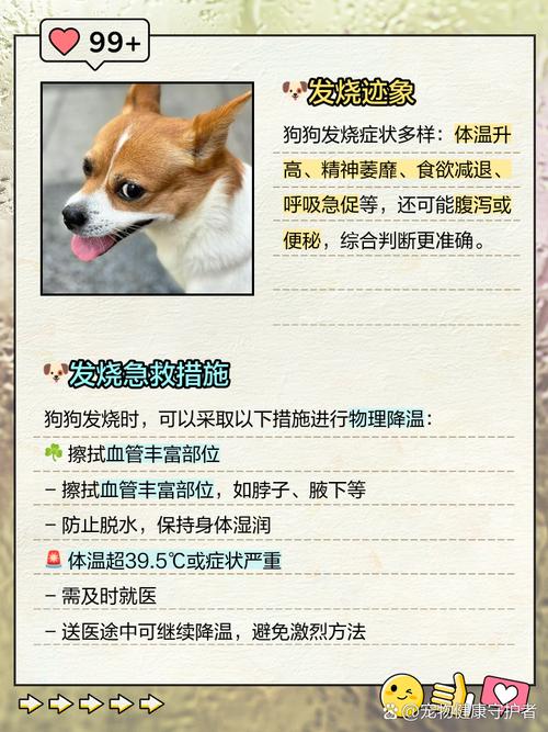 狗狗发烧症状有哪些,狗狗发烧都有哪些症状??-第2张图片-后鲨宠物 狗狗发烧症状有哪些,狗狗发烧都有哪些症状??-第2张图片-后鲨宠物
