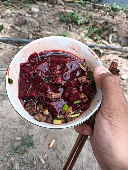 猫咪能吃猪血吗,猫咪能吃猪血吗有营养吗-第3张图片-后鲨宠物 猫咪能吃猪血吗,猫咪能吃猪血吗有营养吗-第3张图片-后鲨宠物