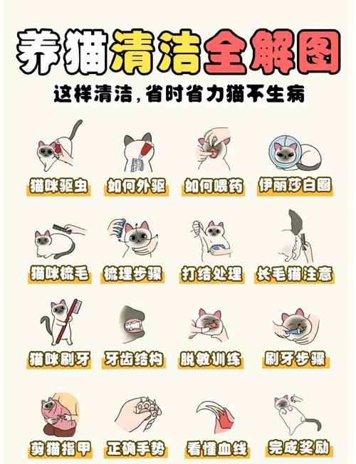 猫咪干洗怎么洗_猫咪干洗剂怎么用-第6张图片-后鲨宠物