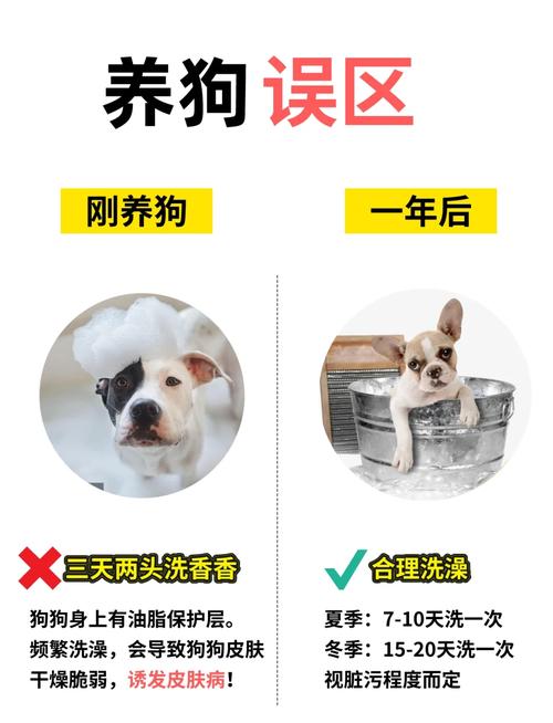 狗狗配种后多久可以洗澡,狗狗配种后几天可以洗澡-第2张图片-后鲨宠物 狗狗配种后多久可以洗澡,狗狗配种后几天可以洗澡-第2张图片-后鲨宠物