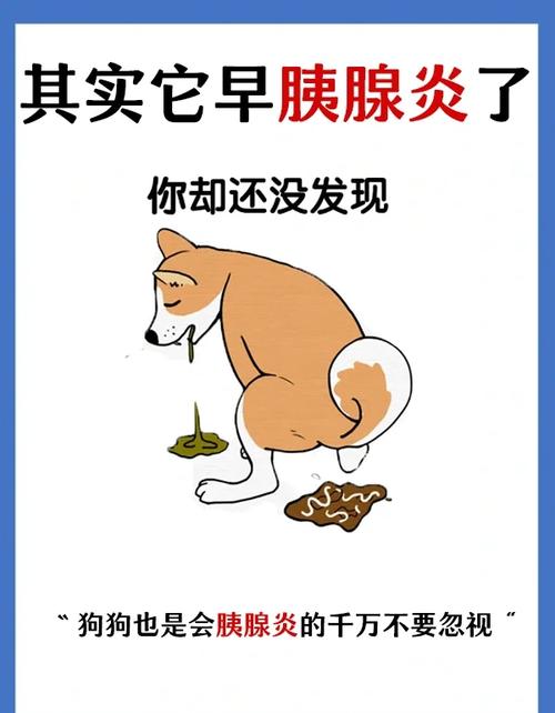 狗狗得了胰腺炎能活几年,狗狗得了胰腺炎会怎么样-第3张图片-后鲨宠物 狗狗得了胰腺炎能活几年,狗狗得了胰腺炎会怎么样-第3张图片-后鲨宠物