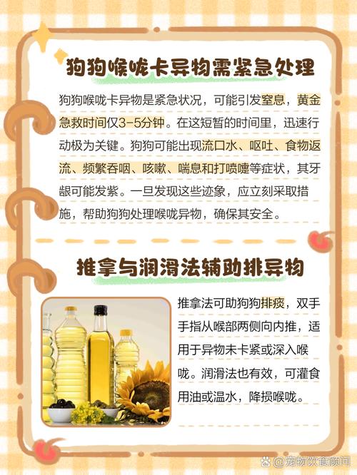 狗狗卡到喉咙怎么处理_狗狗卡到喉咙怎么处理好-第2张图片-后鲨宠物