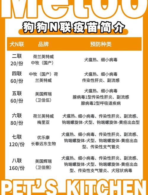 狗狗打疫苗前可以吃饭吗_狗狗打疫苗前可以吃饭吗?