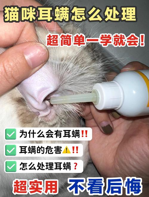 猫咪耳朵很脏怎么处理,猫耳朵黑色泥是耳螨吗?-第6张图片-后鲨宠物 猫咪耳朵很脏怎么处理,猫耳朵黑色泥是耳螨吗?-第6张图片-后鲨宠物