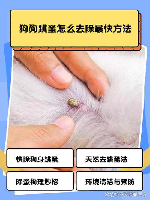 怎样给狗狗驱虫_怎样给狗狗驱虫体外驱虫