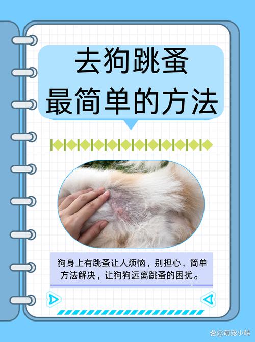 怎样给狗狗驱虫_怎样给狗狗驱虫体外驱虫-第2张图片-后鲨宠物 怎样给狗狗驱虫_怎样给狗狗驱虫体外驱虫-第2张图片-后鲨宠物