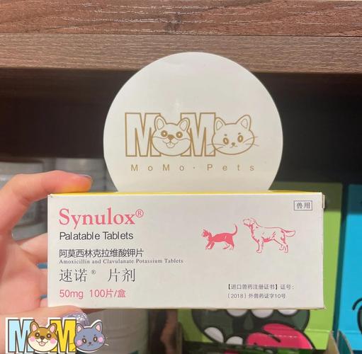 猫咪吃什么消炎药_猫咪吃什么消炎药和止痛药-第4张图片-后鲨宠物 猫咪吃什么消炎药_猫咪吃什么消炎药和止痛药-第4张图片-后鲨宠物