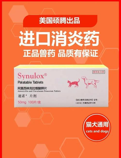 猫咪吃什么消炎药_猫咪吃什么消炎药和止痛药-第5张图片-后鲨宠物 猫咪吃什么消炎药_猫咪吃什么消炎药和止痛药-第5张图片-后鲨宠物