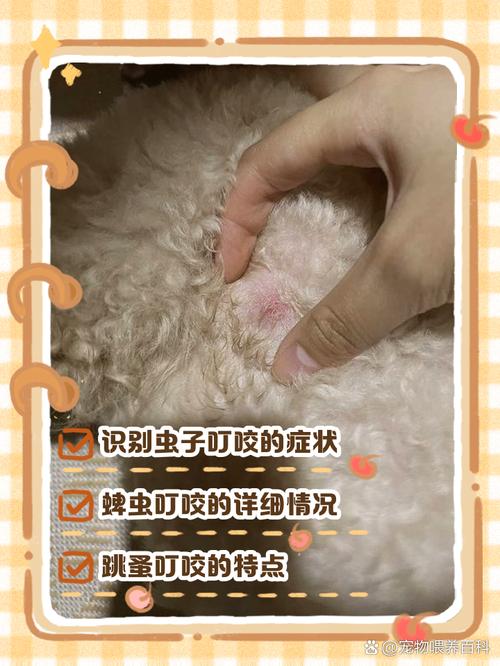  狗狗身上有虫卵怎么办，狗狗身上有虫卵怎么办啊